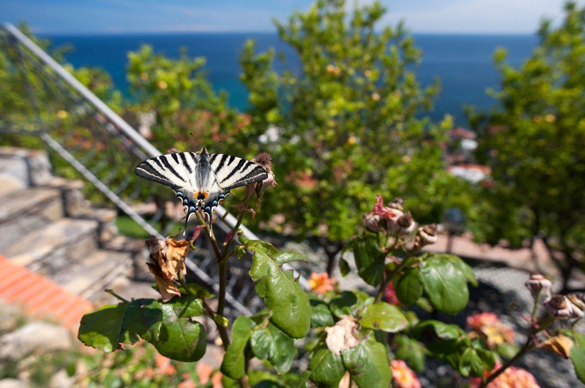 Le Terrazze Appartamenti Vacanze Сан Ремо Екстериор снимка